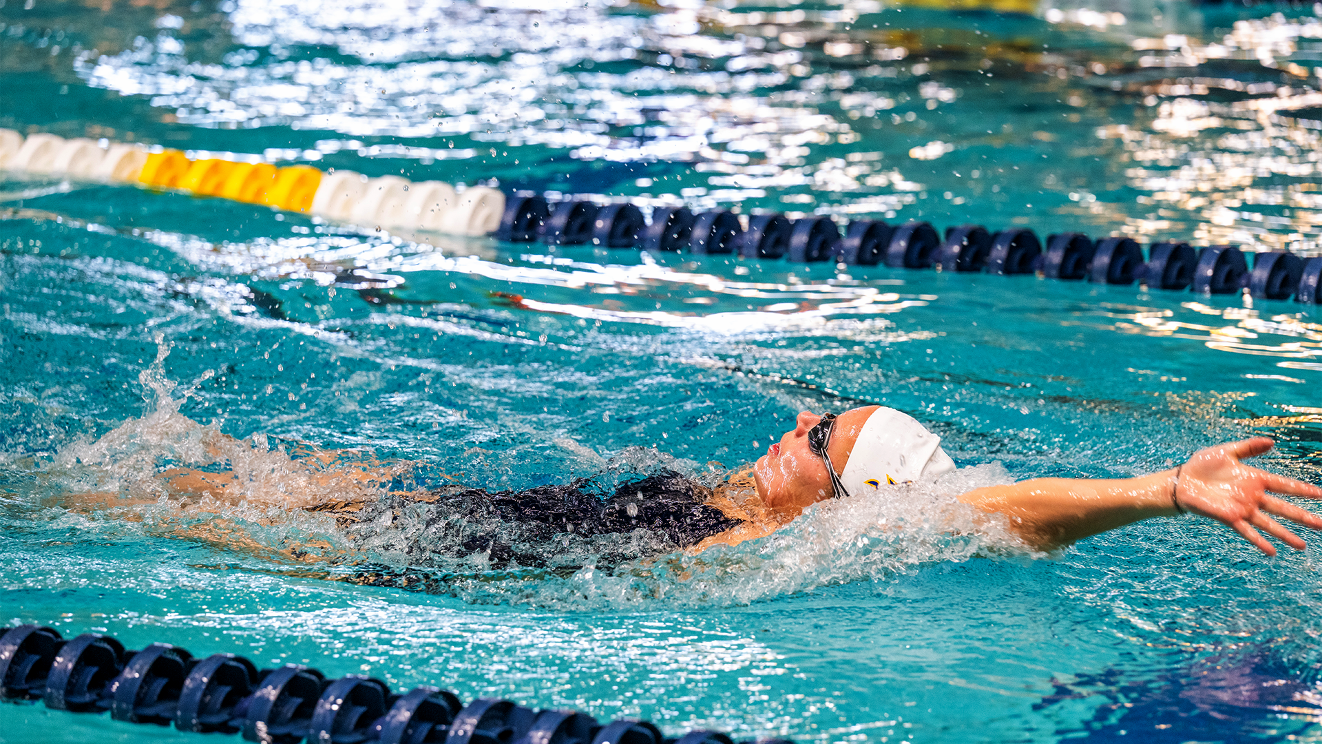 Isa Bianco swimming backstroke against Elizabethtown on Nov. 8, 2025