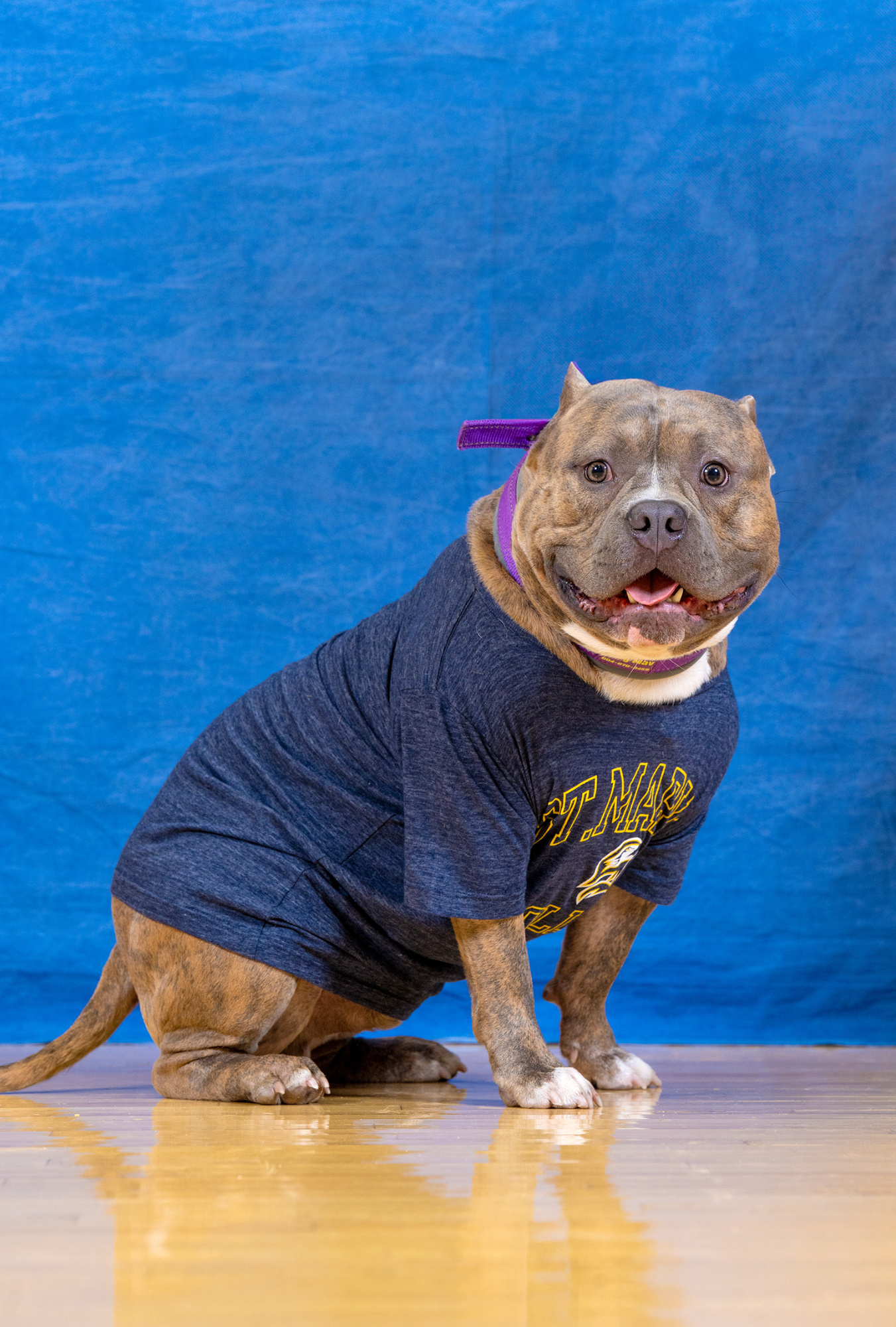 Maverick 2025 Headshot