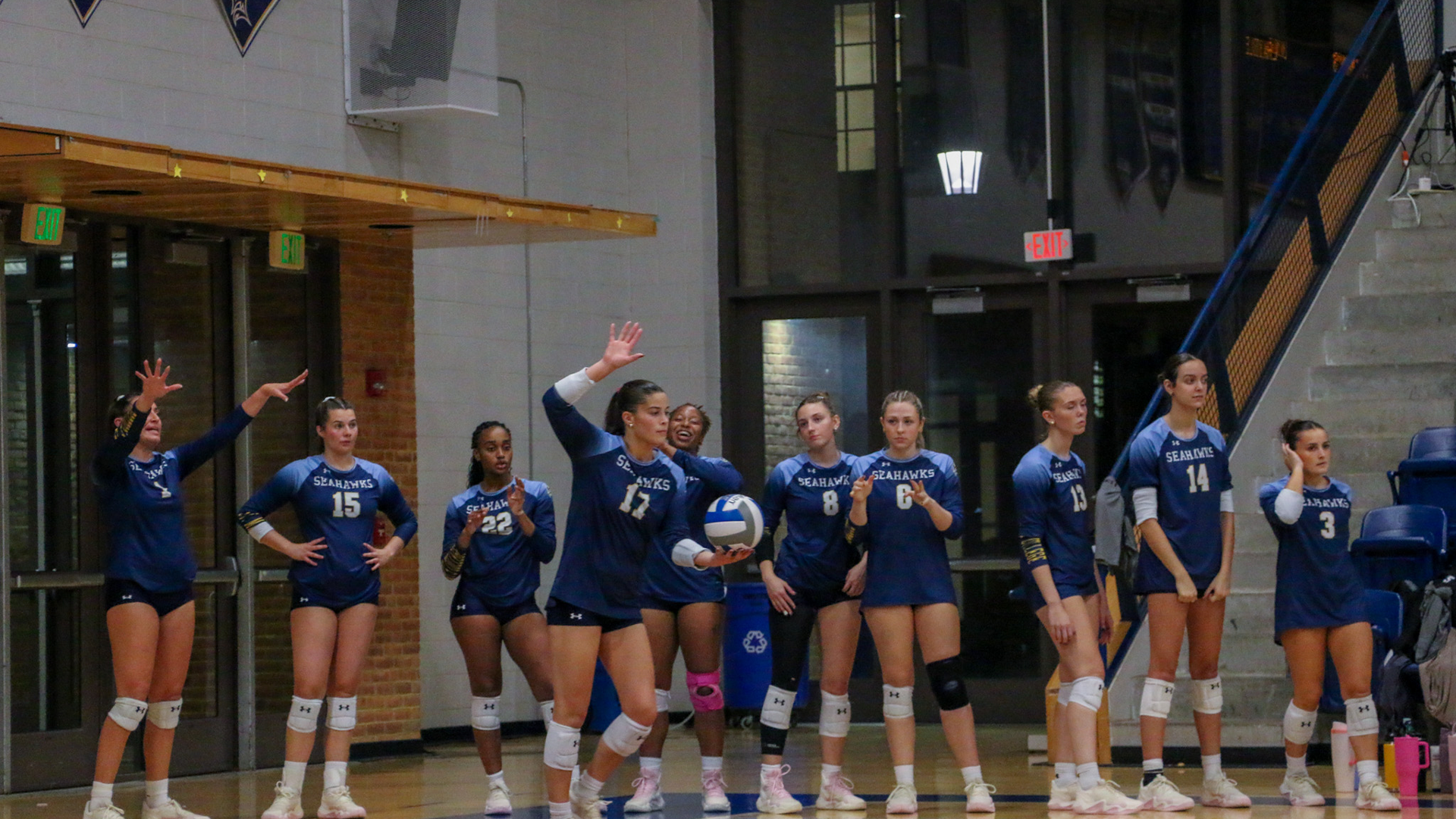 volleyball 