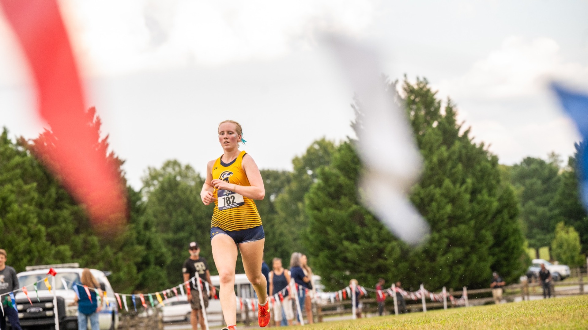 WXC