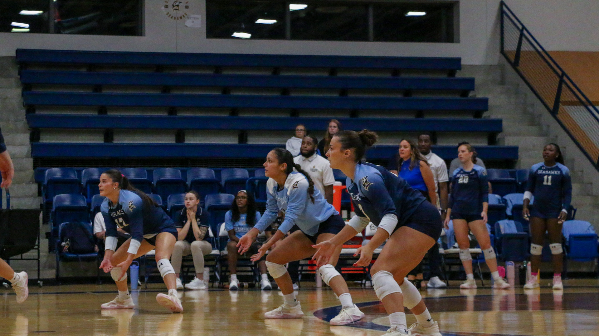 volleyball 
