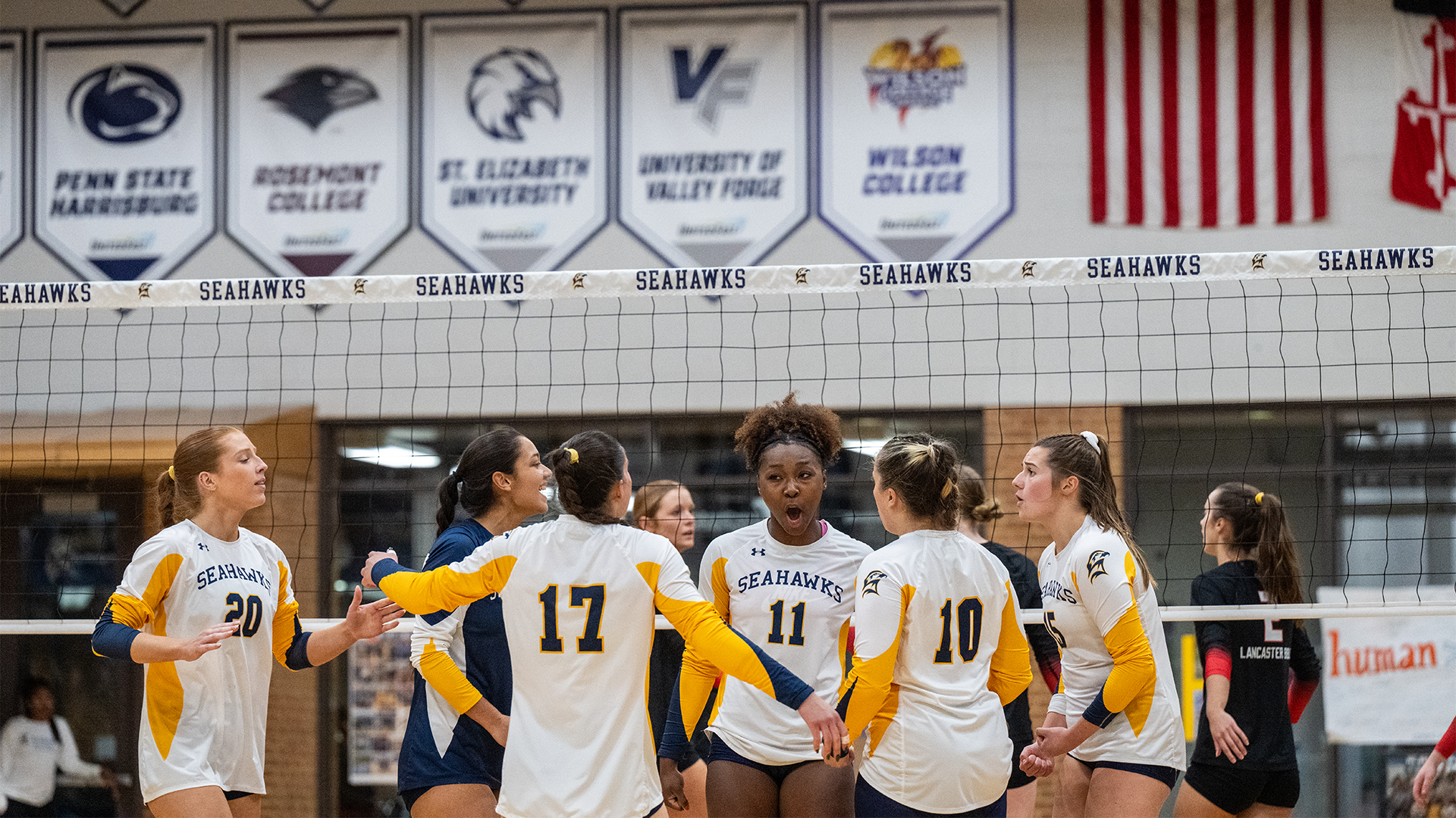 Volleyball Team 