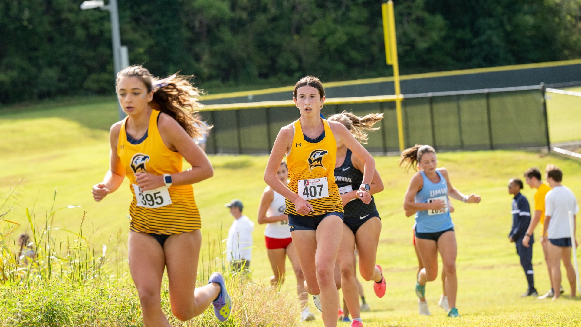 XC