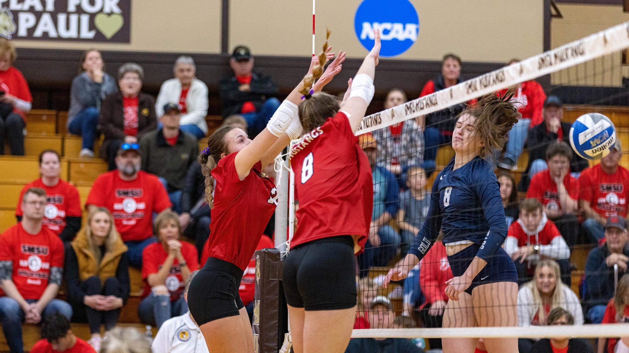 Emma VanHeel Volleyball SMSU Athletics