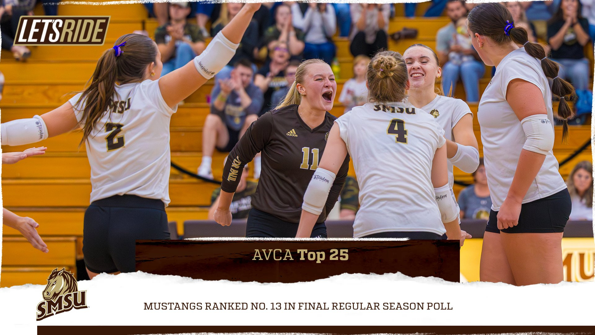 AVCA Top 25 Nov. 24