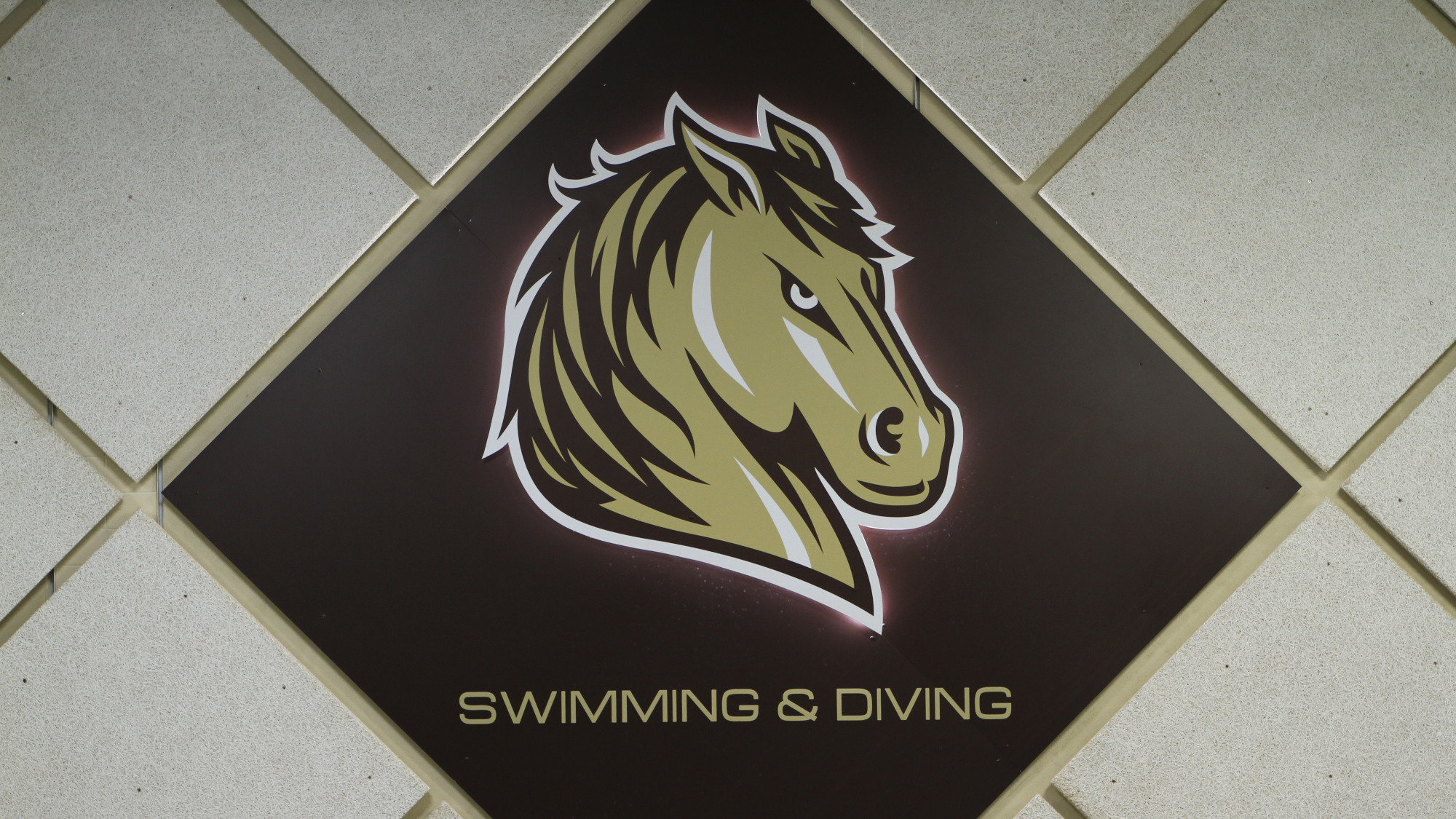 Swim & Dive Logo