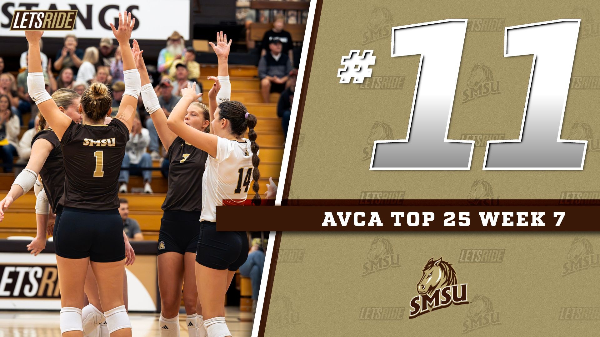 AVCA Top 25 Week 7 2026