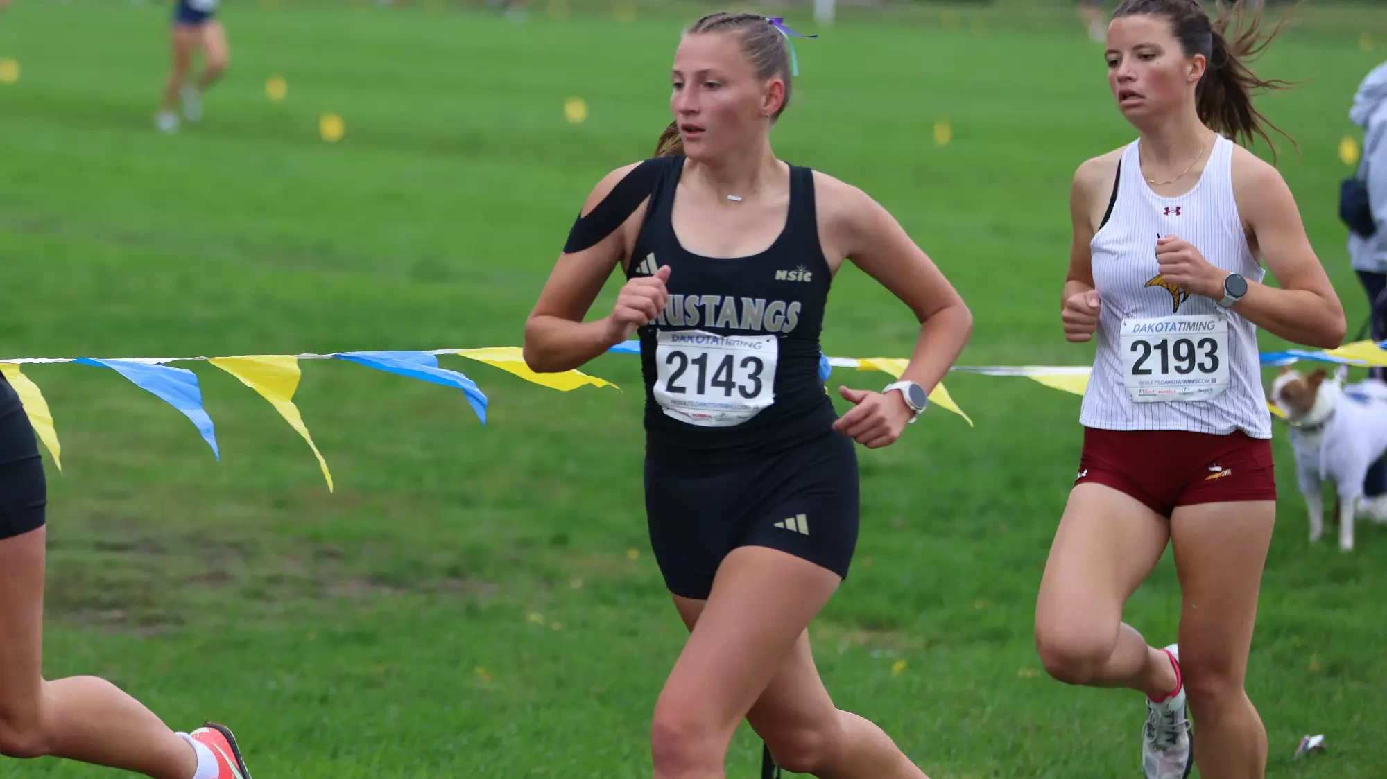 Brooke Wetterstrom