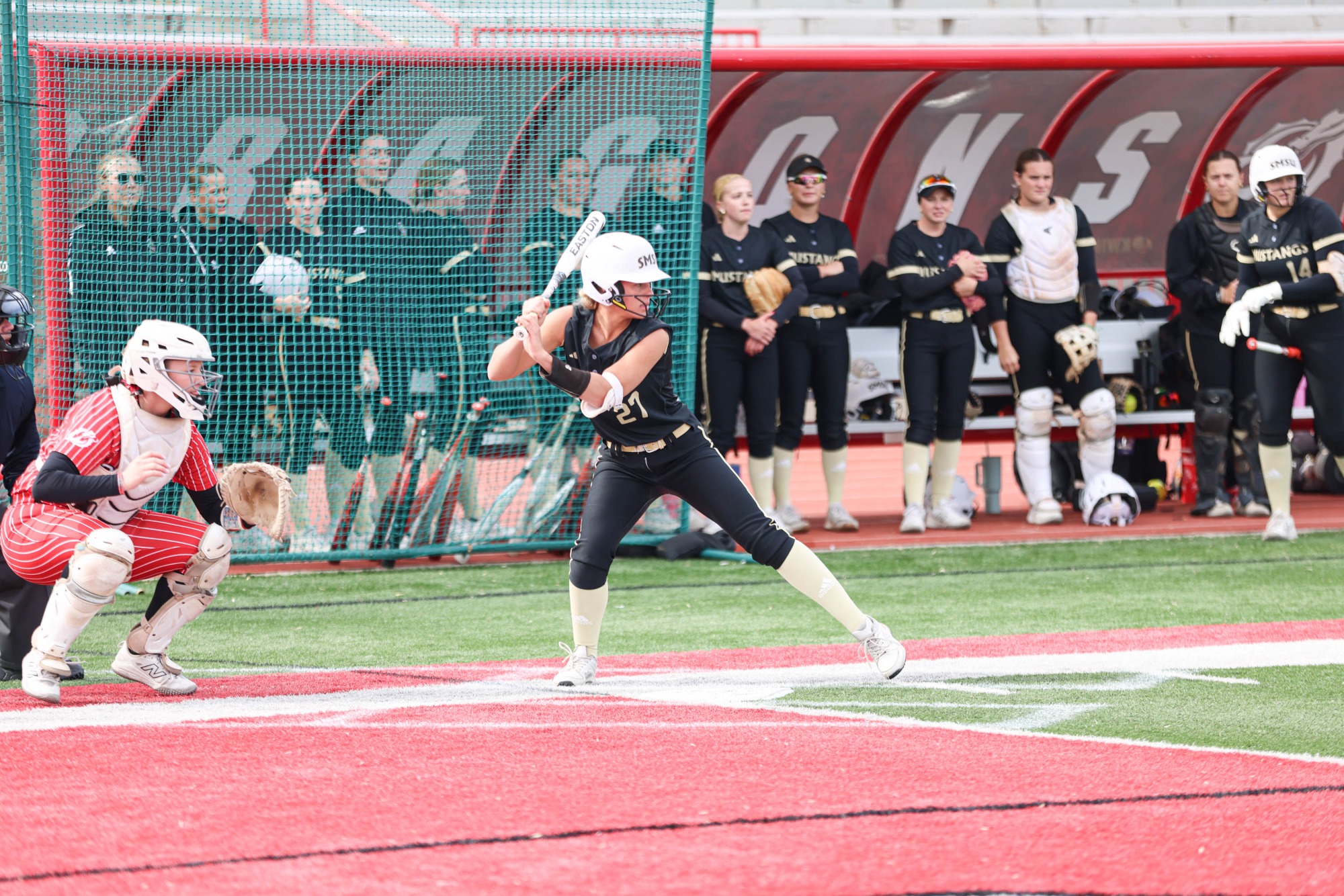 softball msum 032026