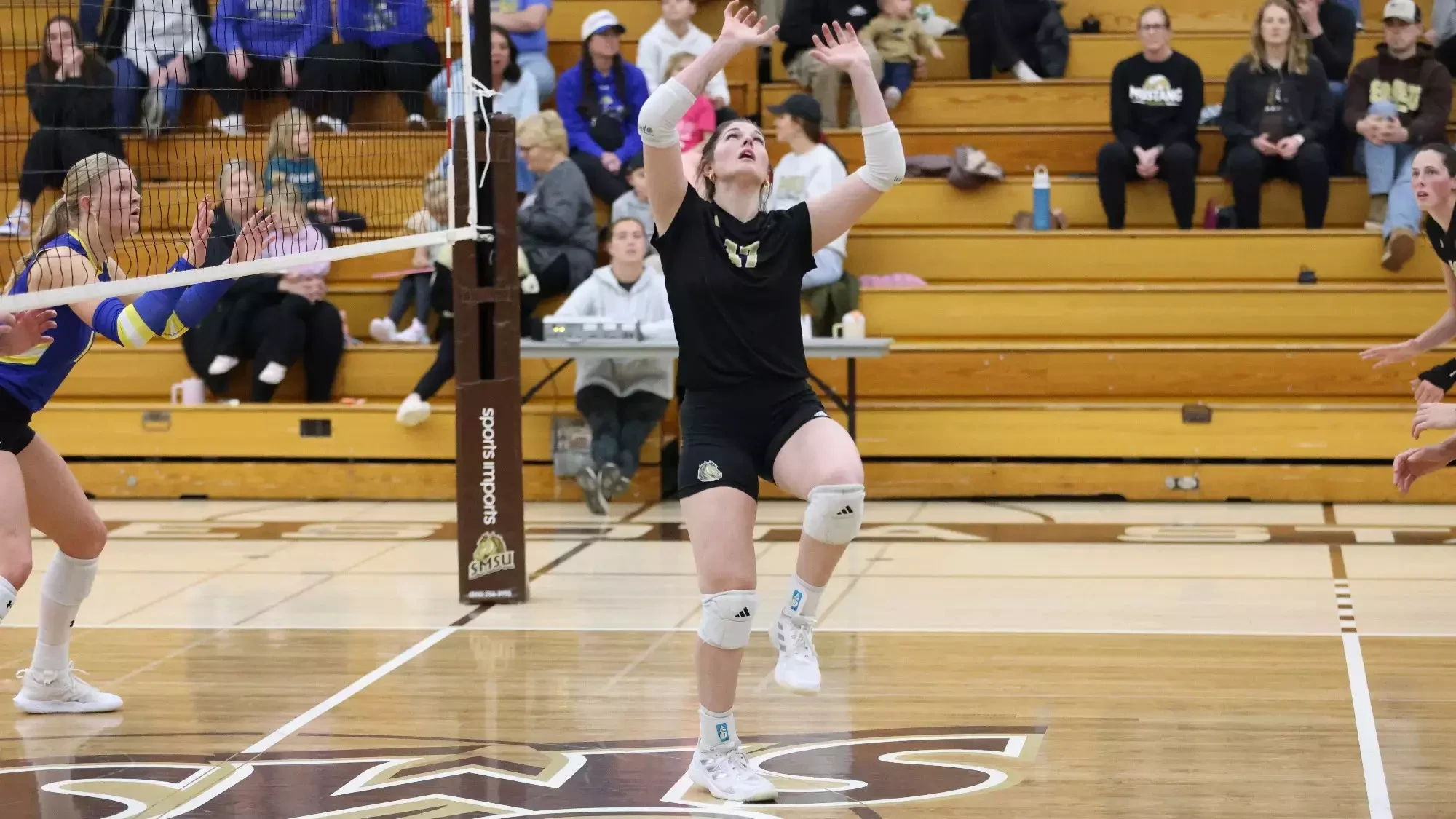 Volleyball