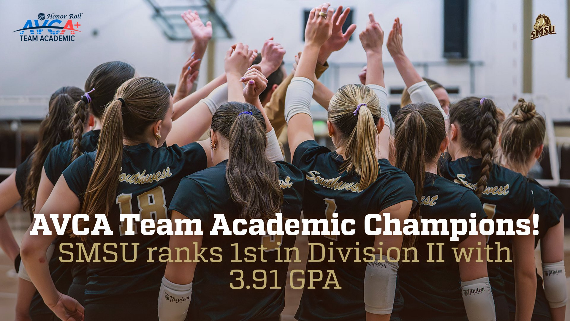 2025 AVCA SMSU
