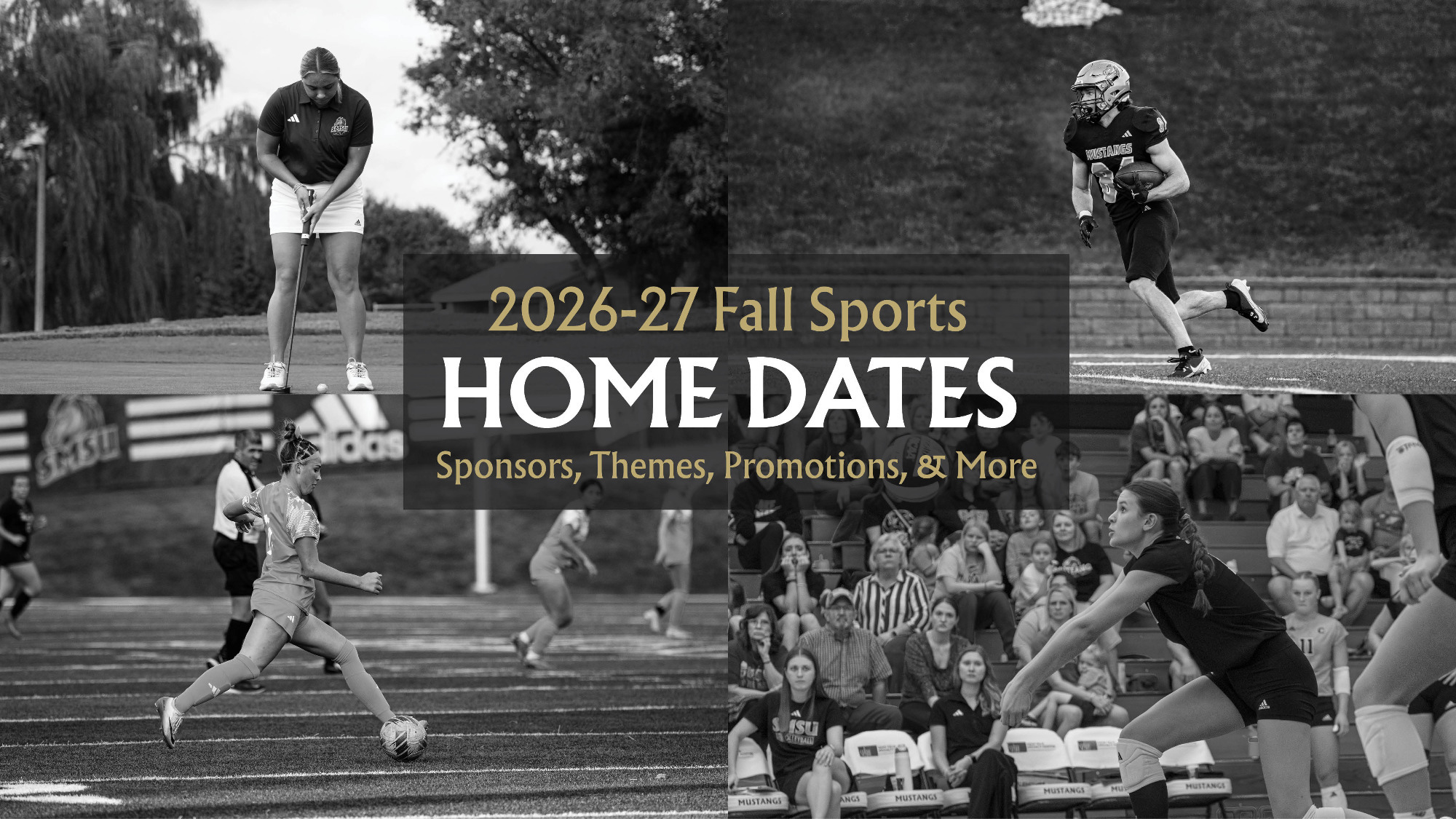 Fall Promo Header