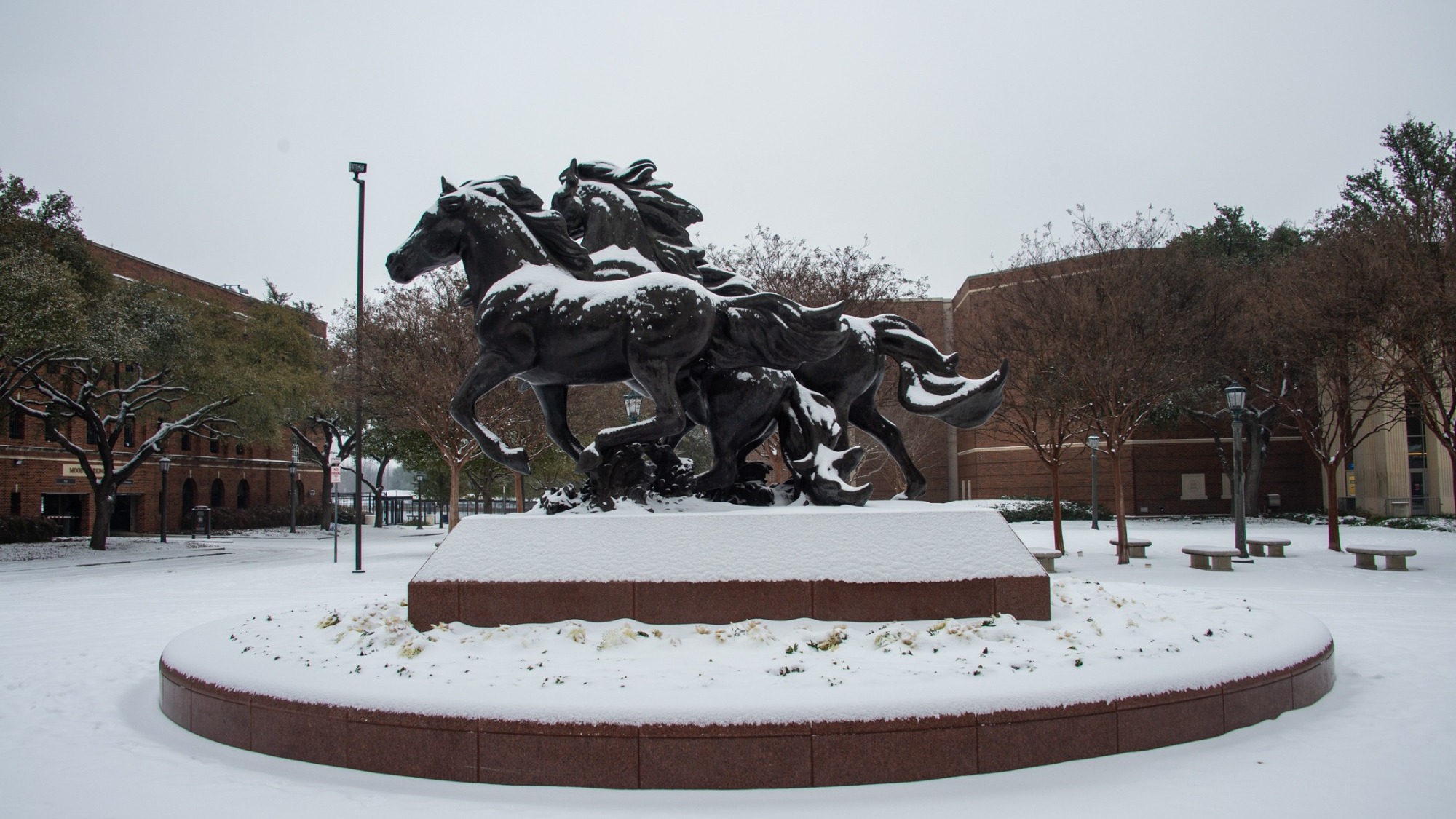 SMU Snow