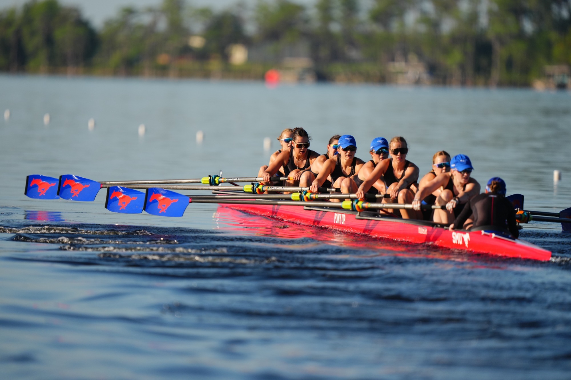rowing orlando