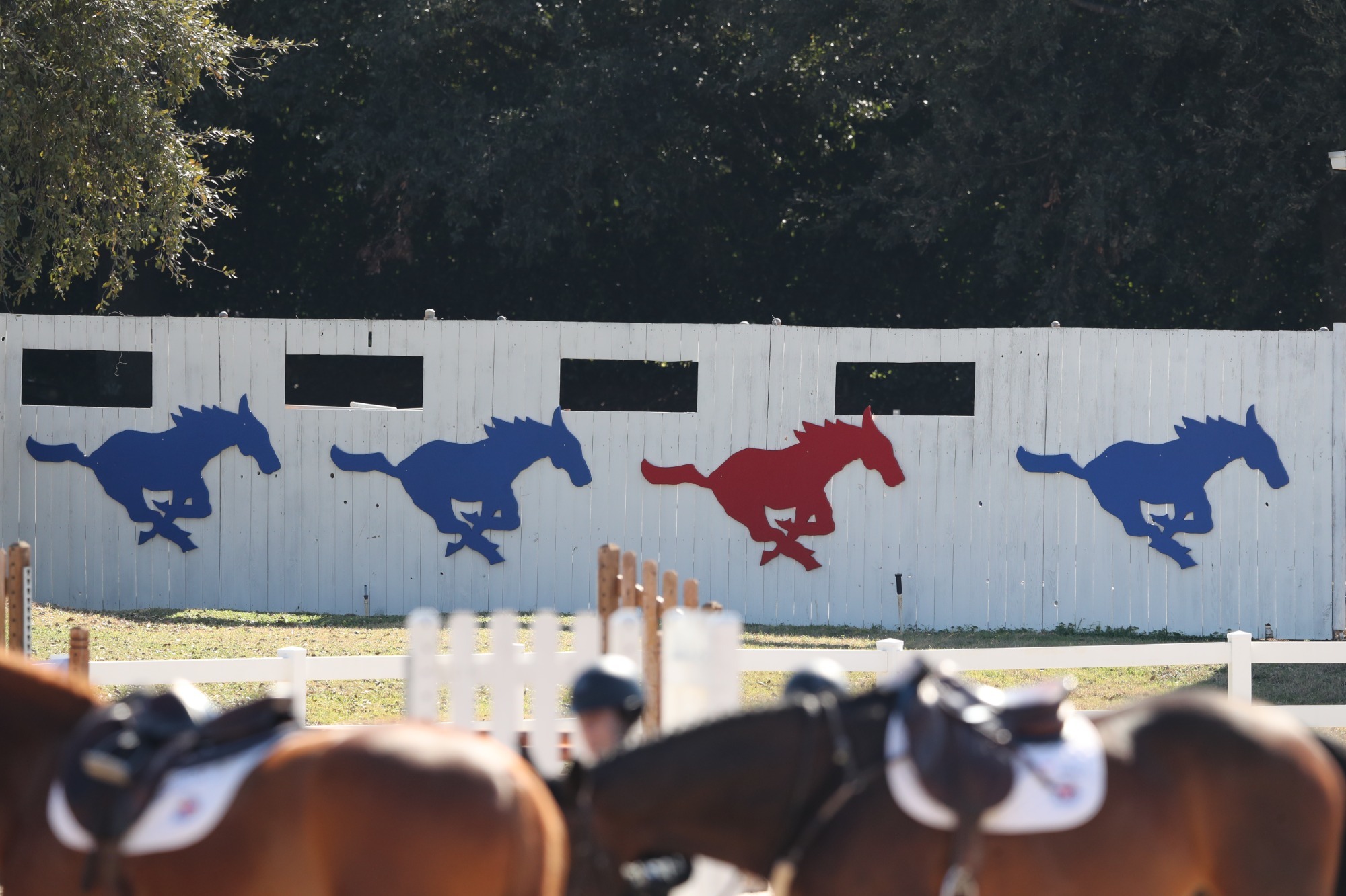 Dallas Equestrian Center