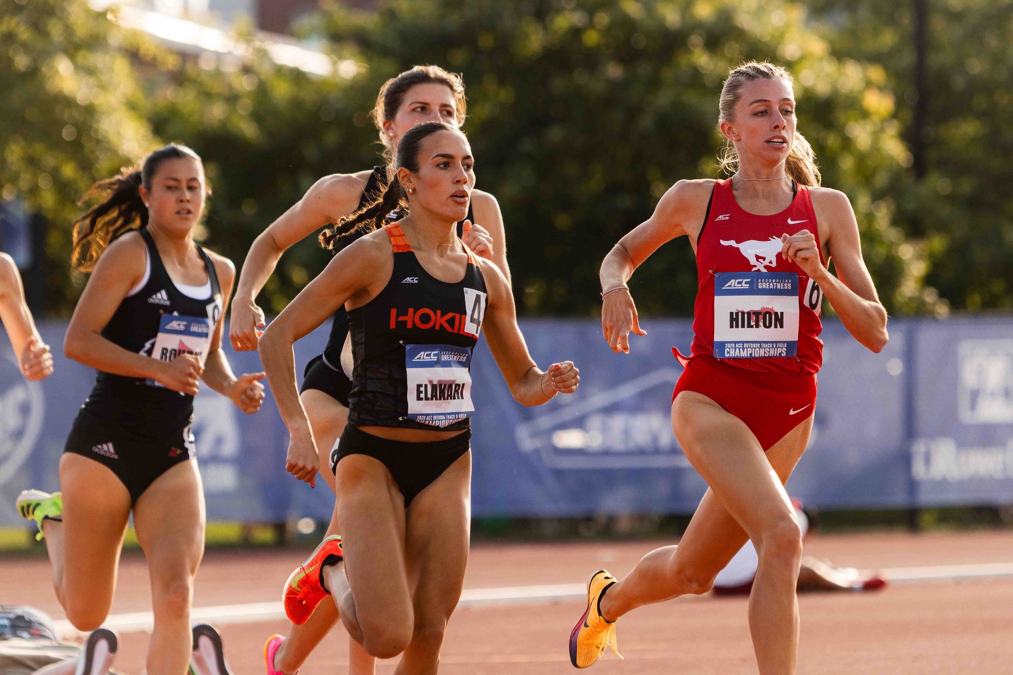 Macey in 800 at ACCs