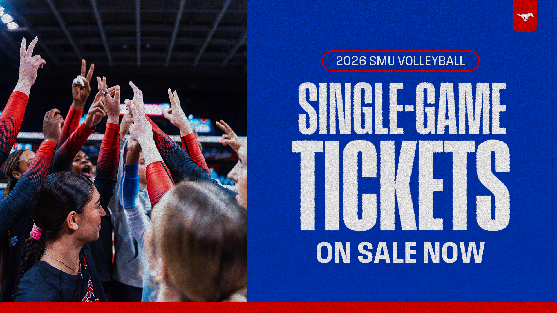 Volleyball Single-Match Tickets 2026