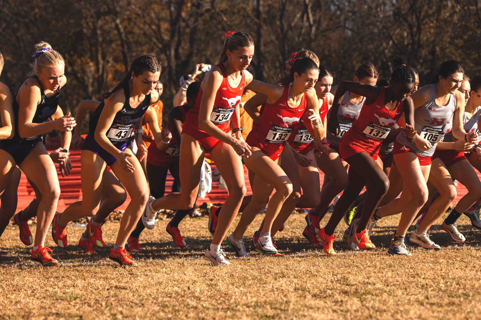 Cross Country 