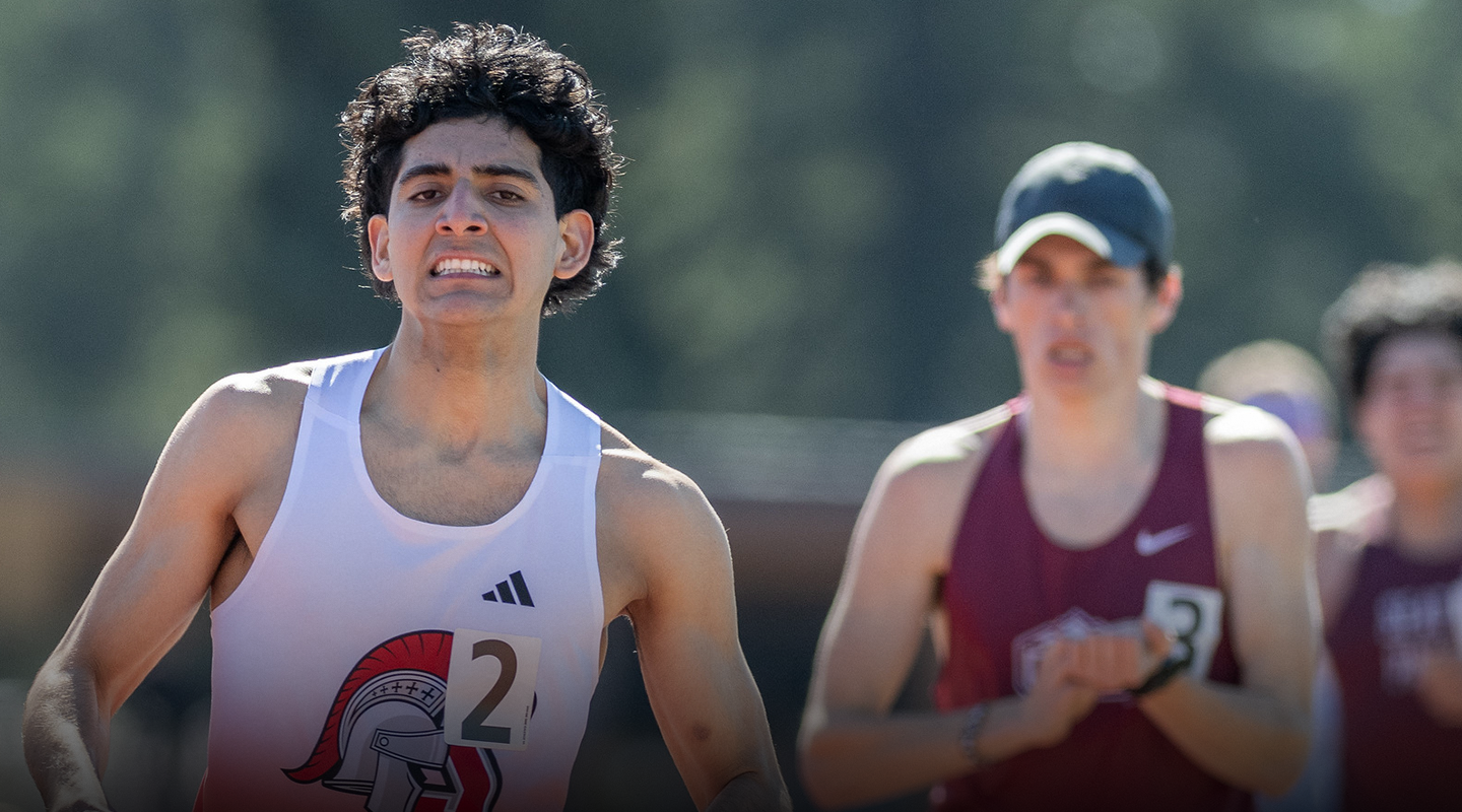 Twilights Info Header