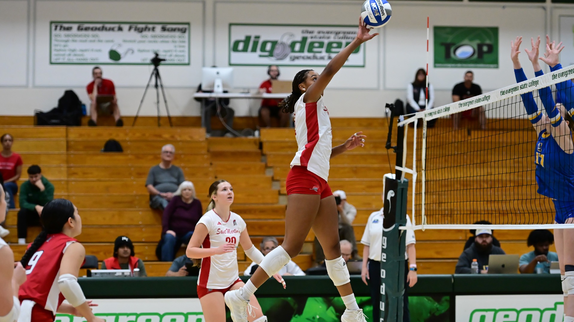 VB recap`
