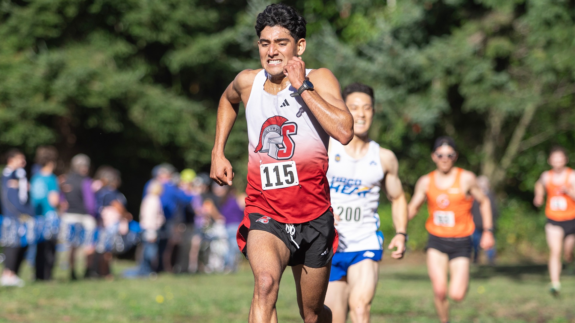 XC Preview