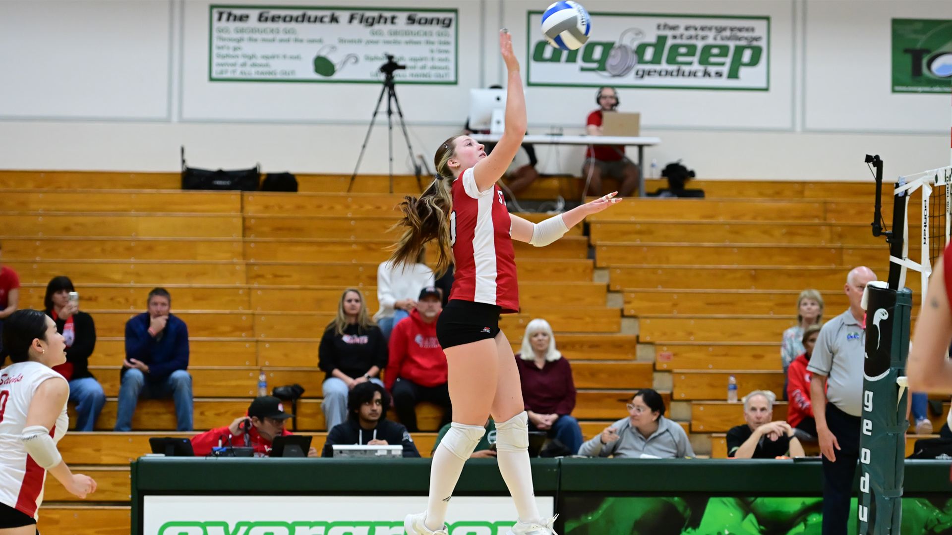 VB recap