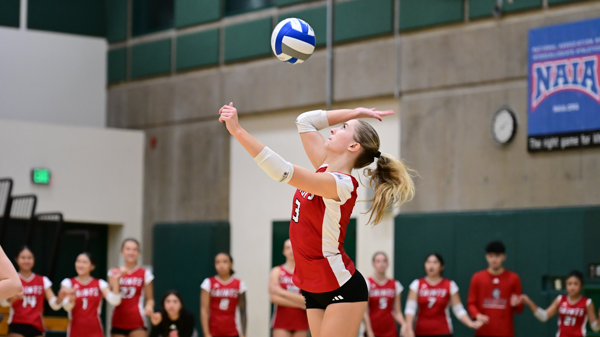 VB Preview