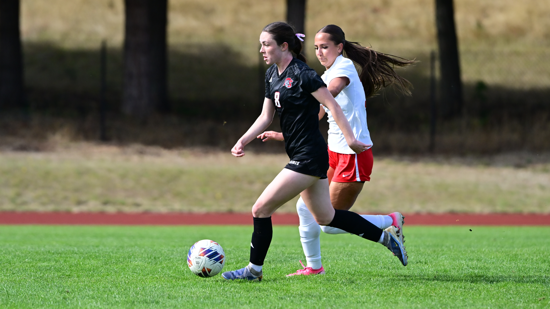 WSOC Preview