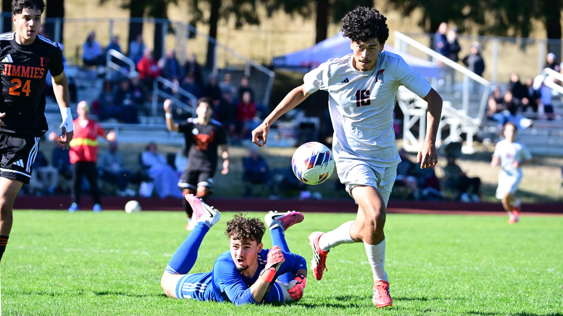 MSOC