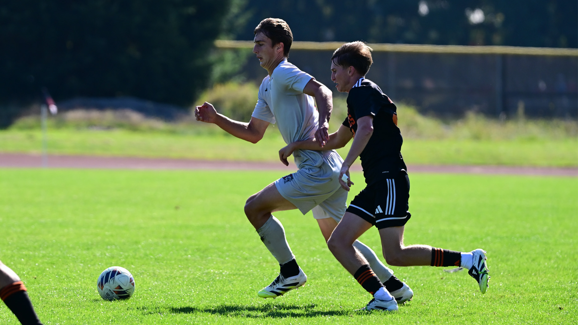MSOC preview