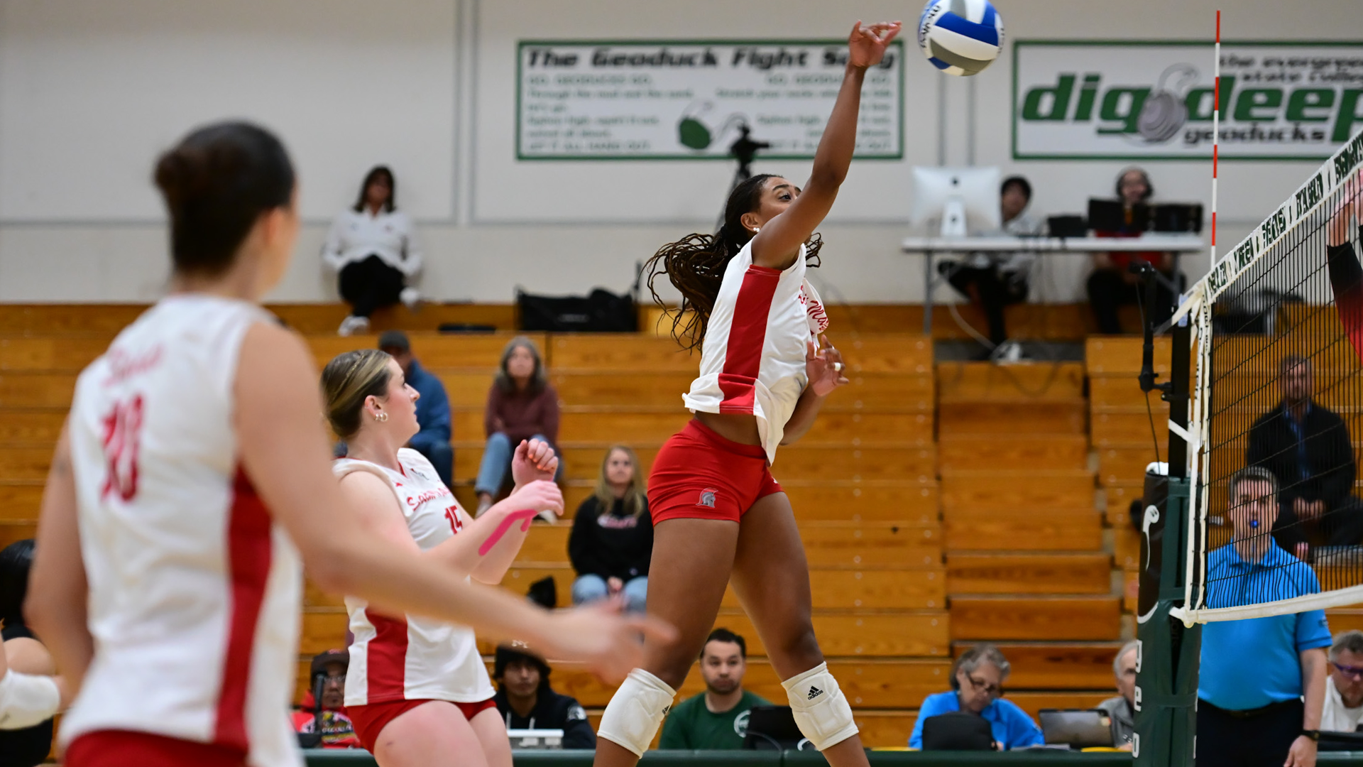 VB Preview
