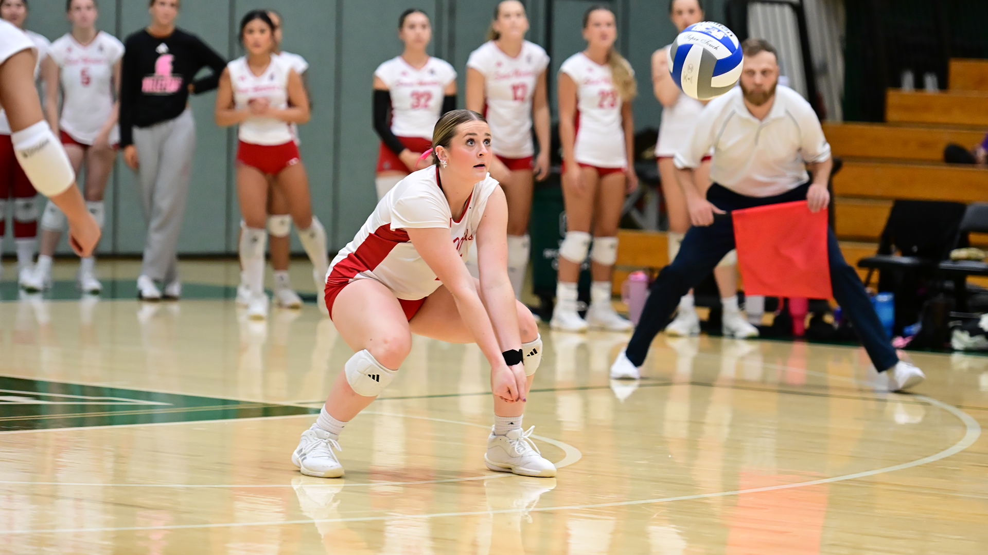 VB recap
