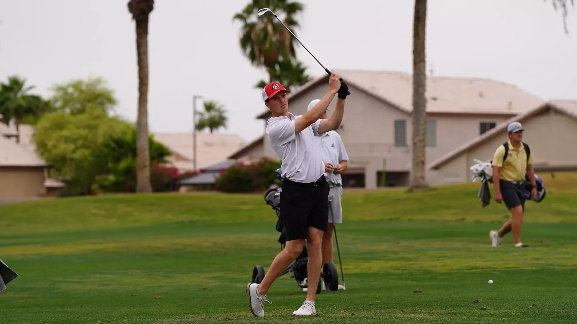 Men's Golf Palm Valley Classic