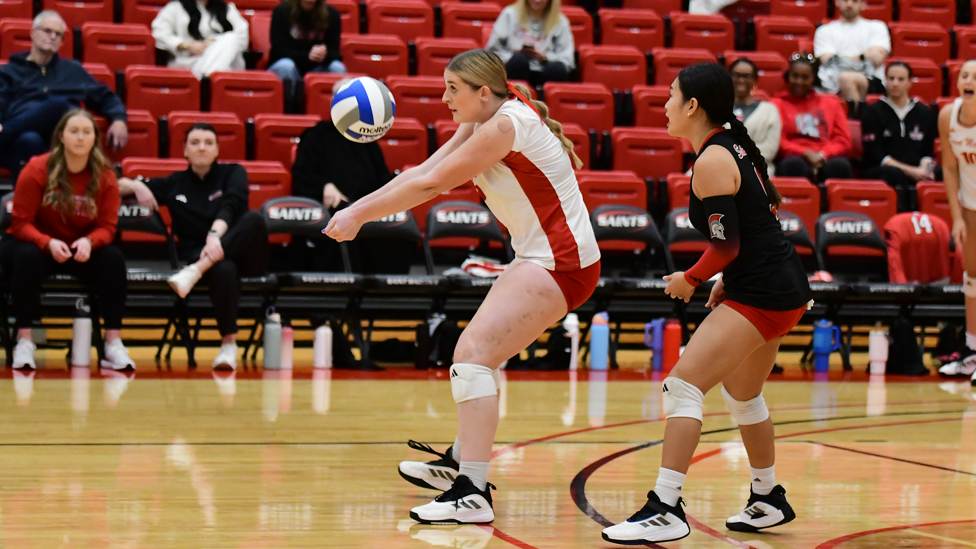 VB Preview