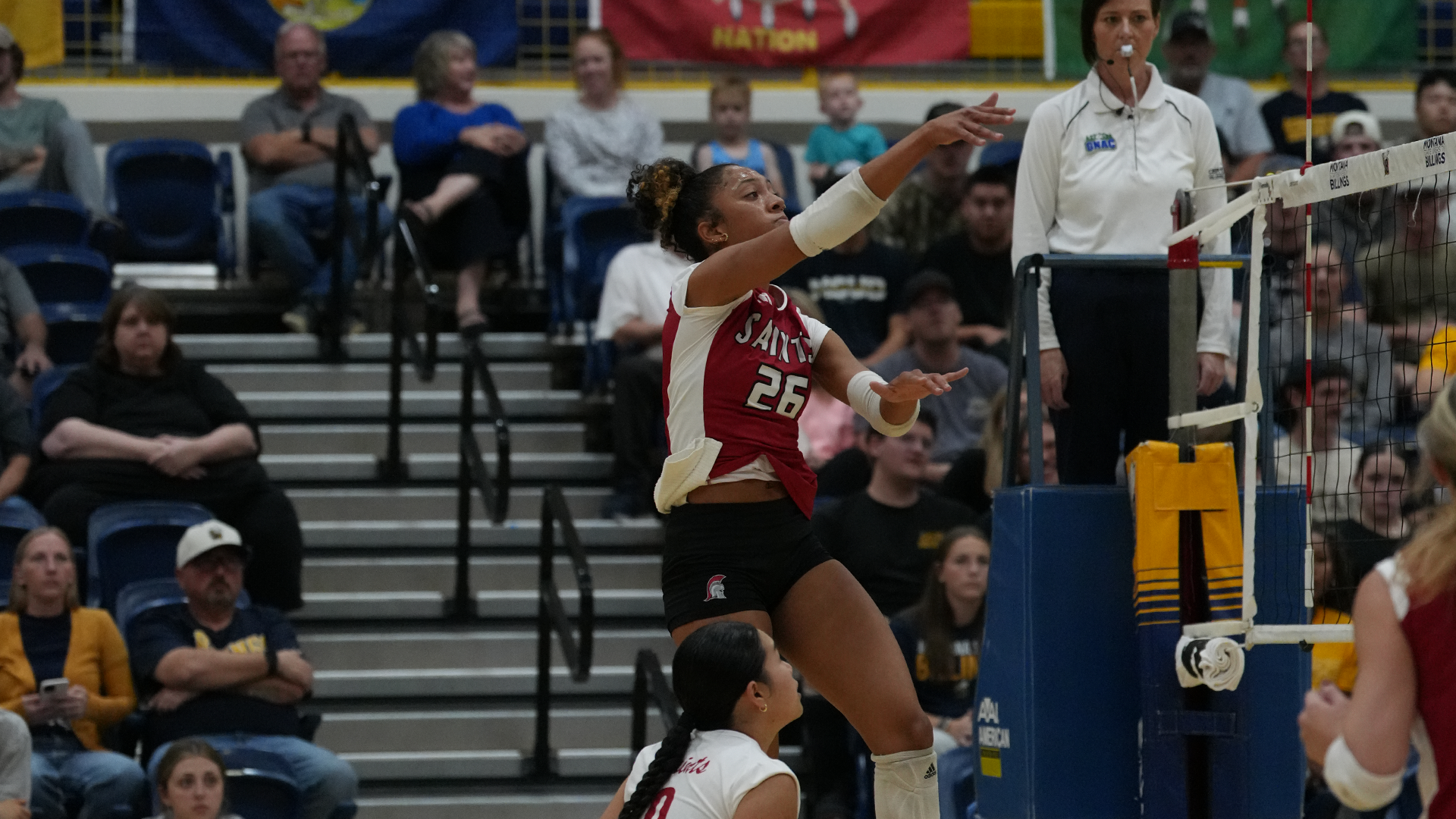 VB recap