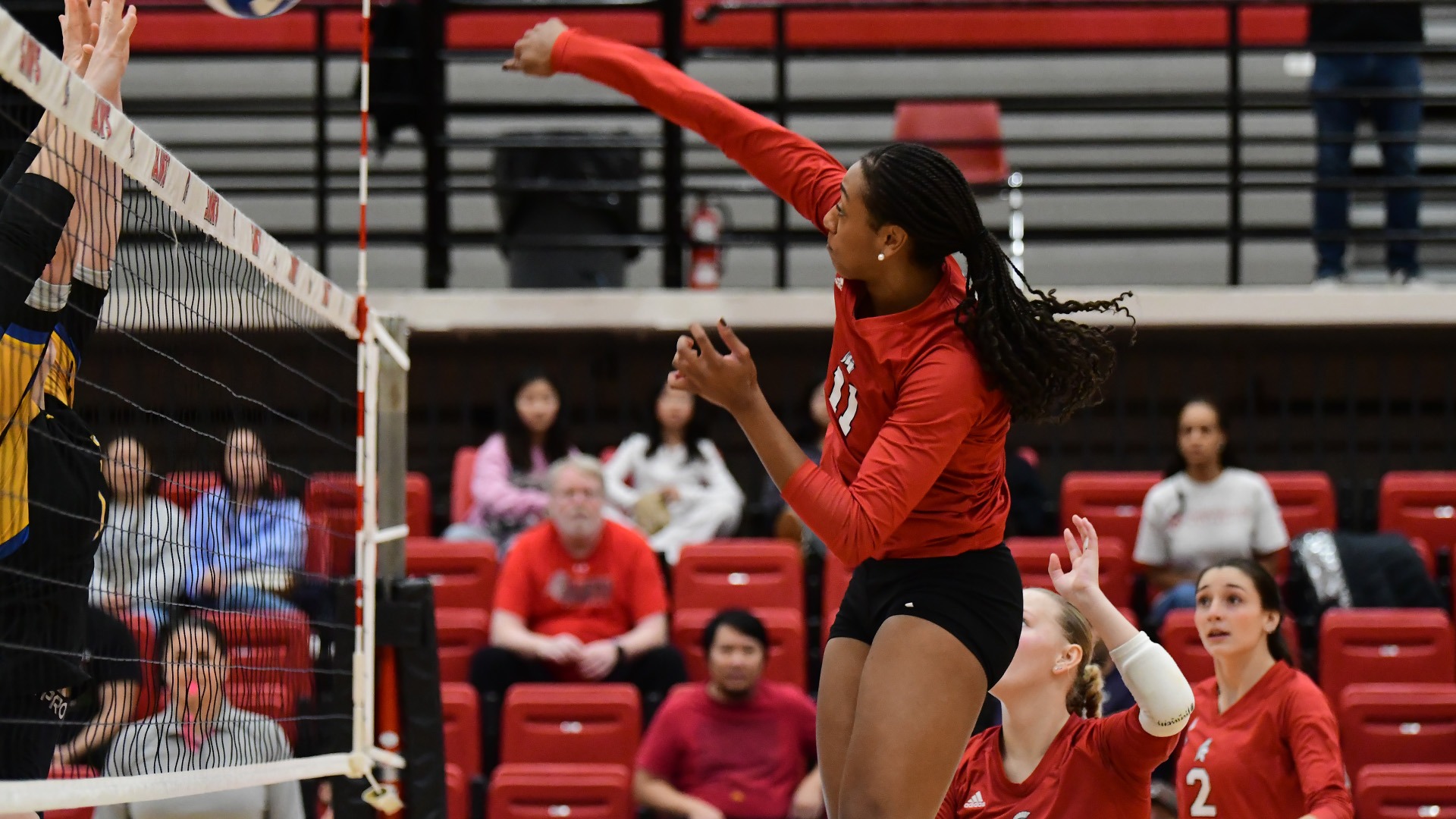 VB Preview