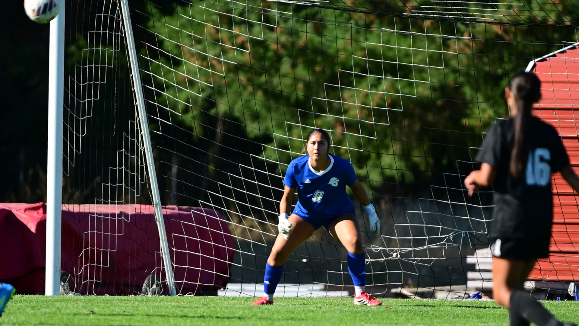 WSOC Recap