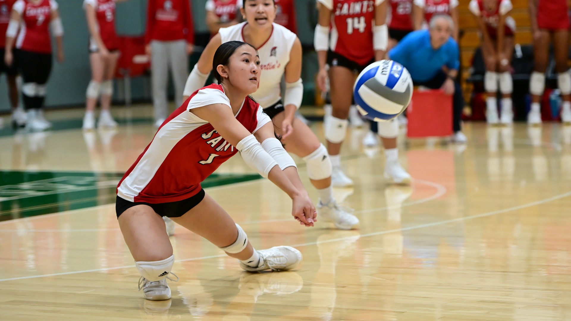 VB recap
