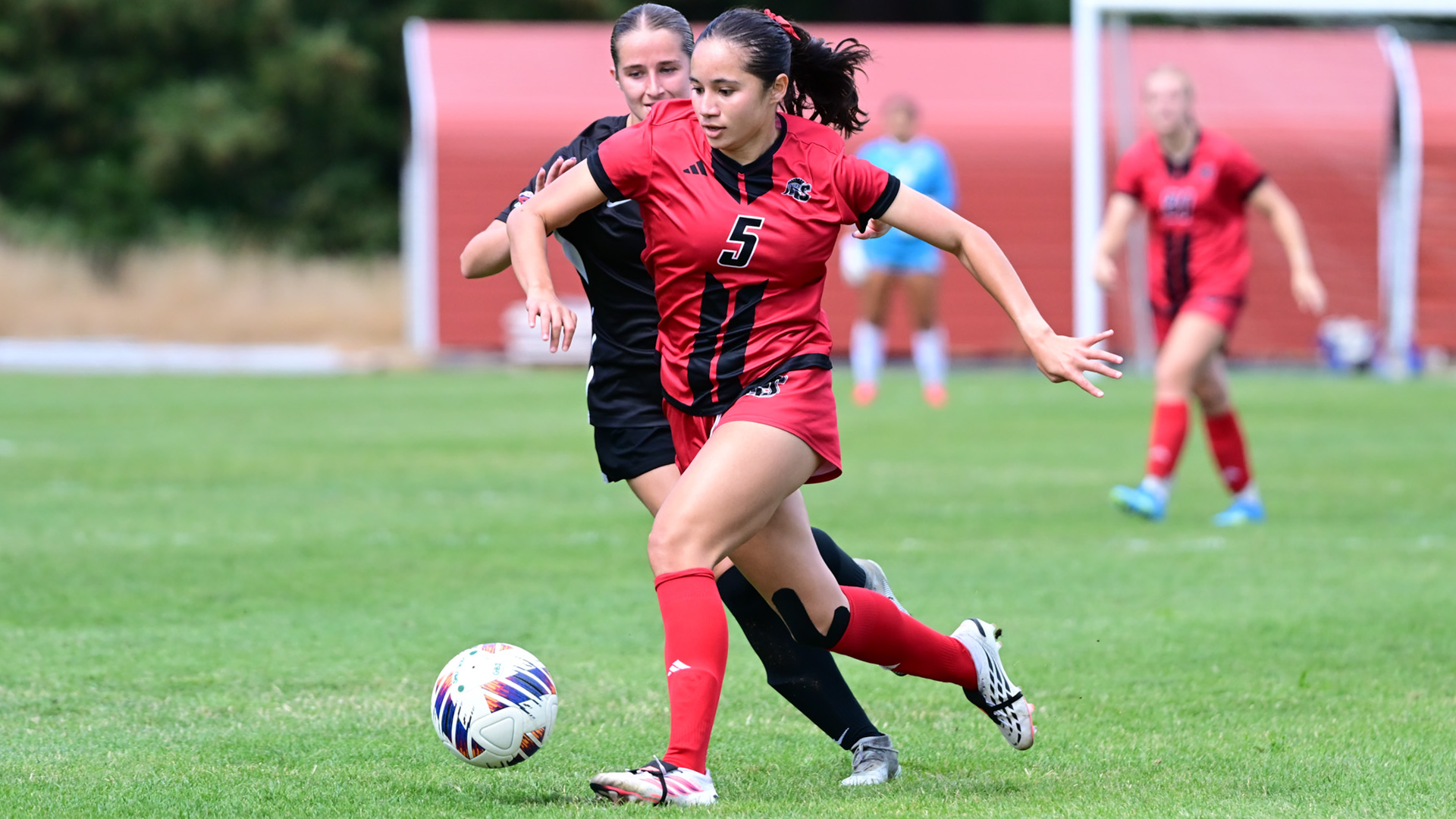 WSOC recap