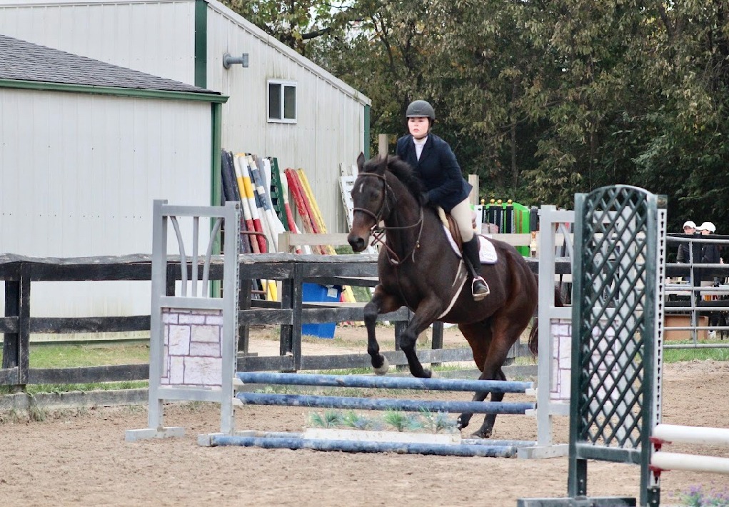 smwc hunt seat preview home show