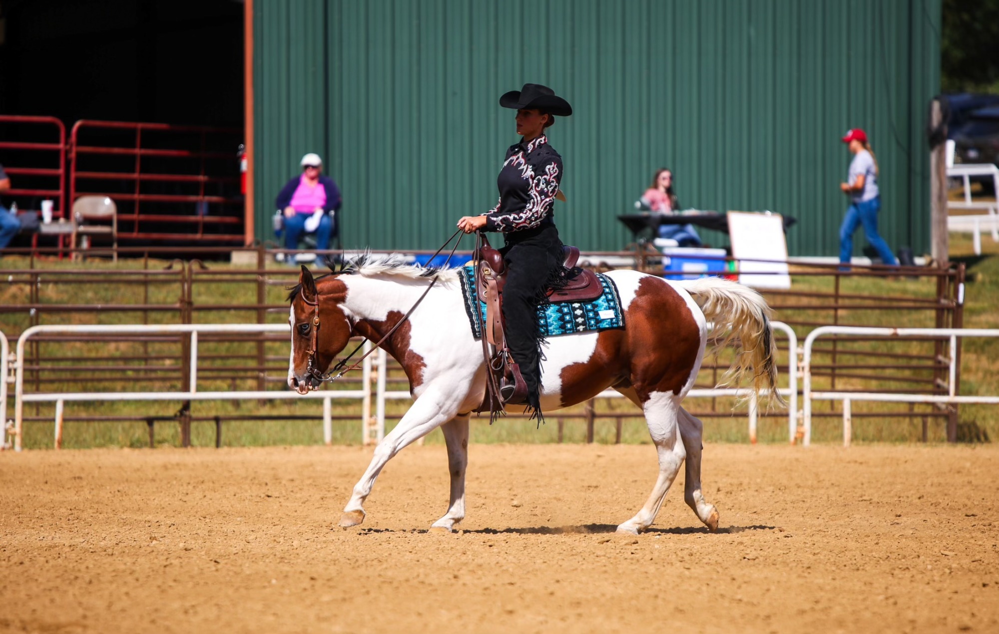 equine at bloomfield