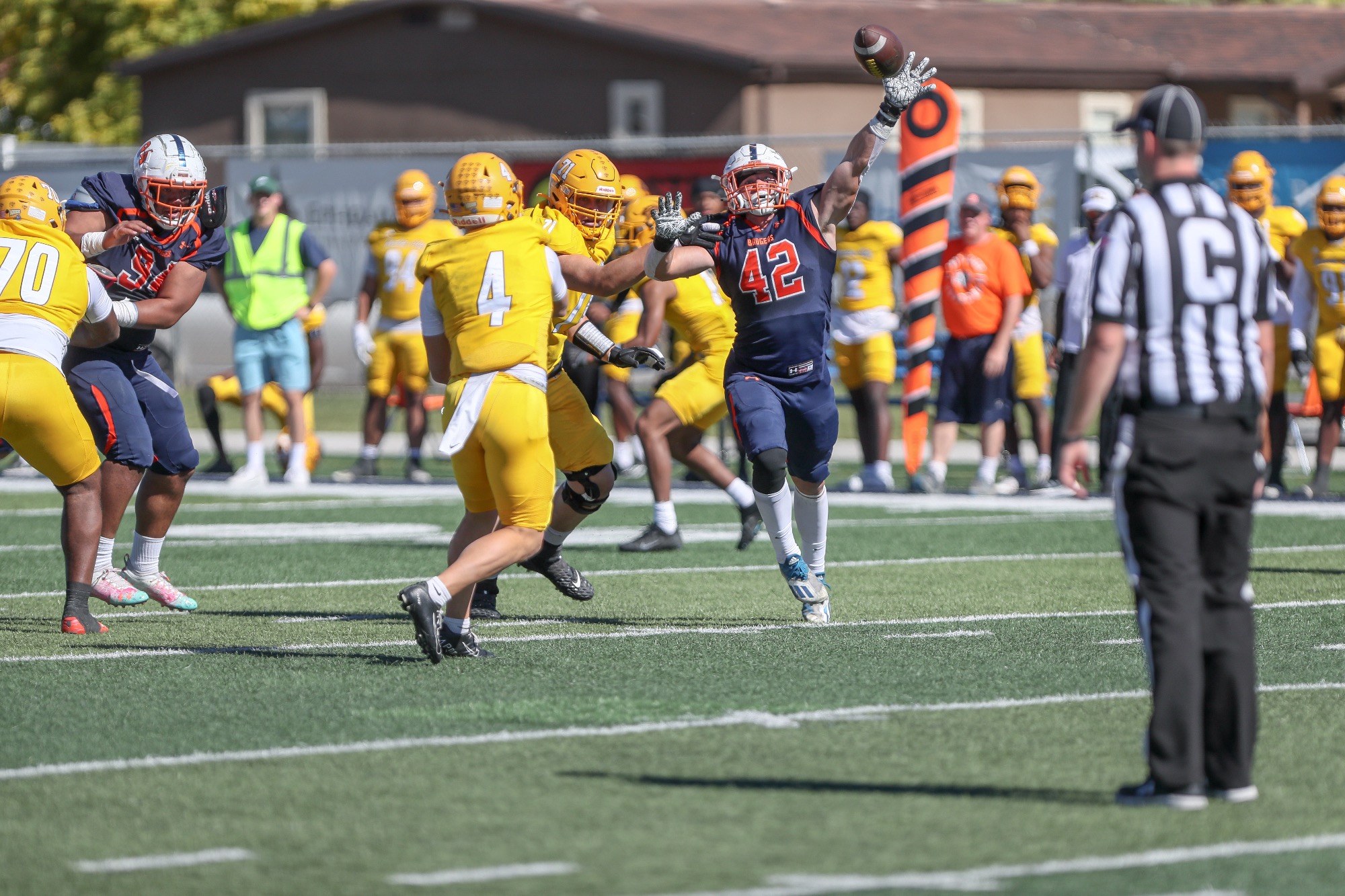 Zach Nowatzke 2022 Football Snow College Athletics
