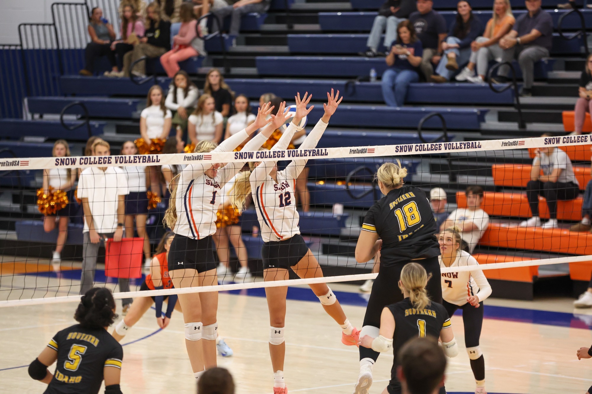 Womens volleyball 
