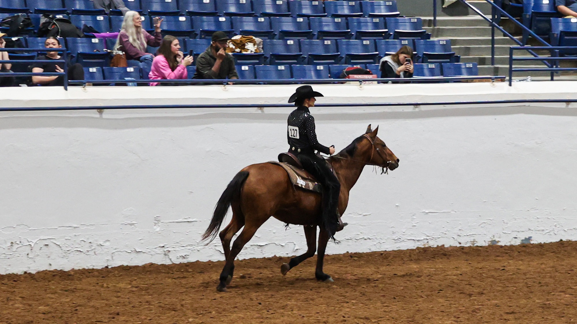 Equestrian