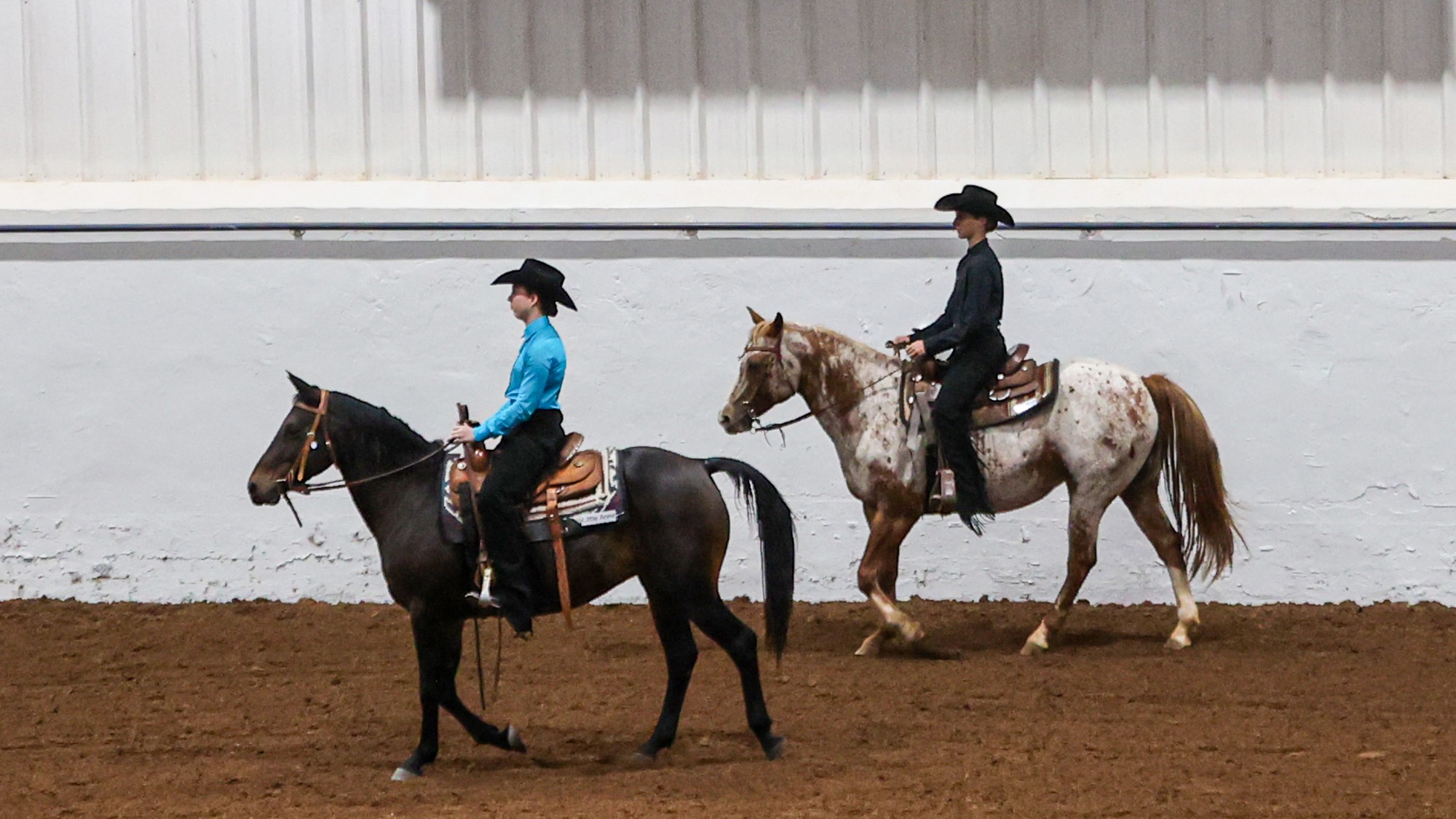 Equestrian