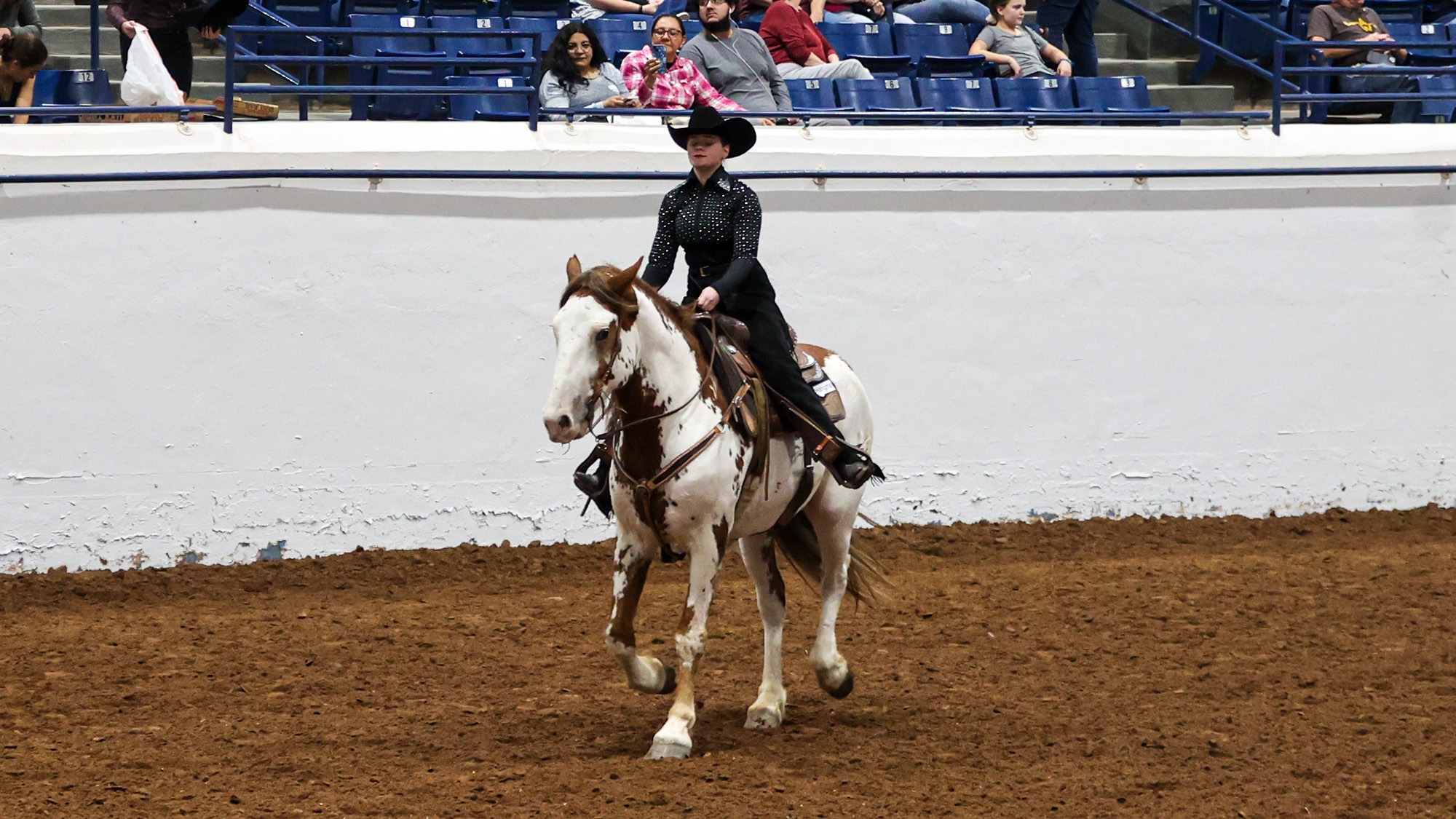 Equestrian