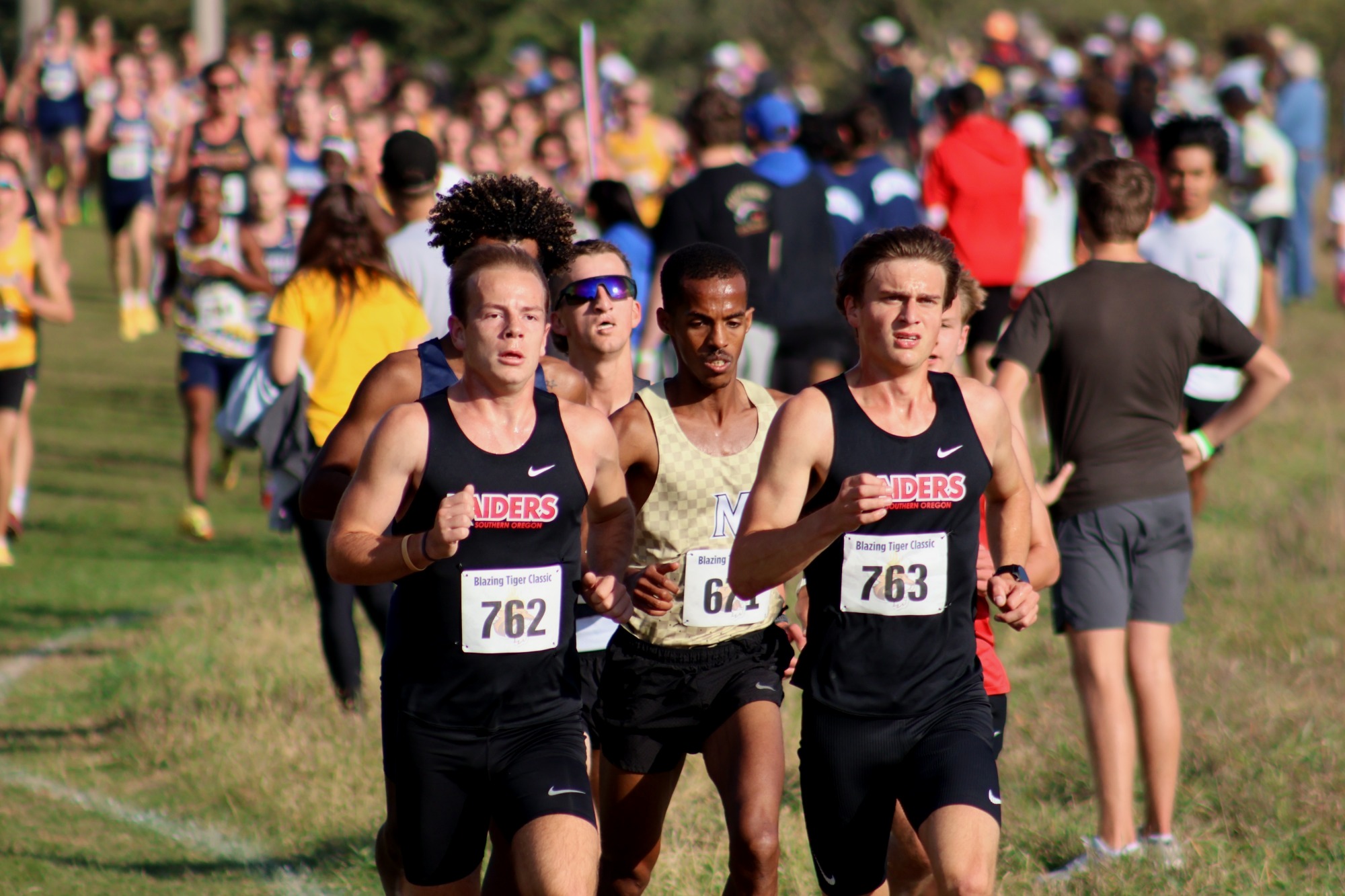 weisgerber, stedman