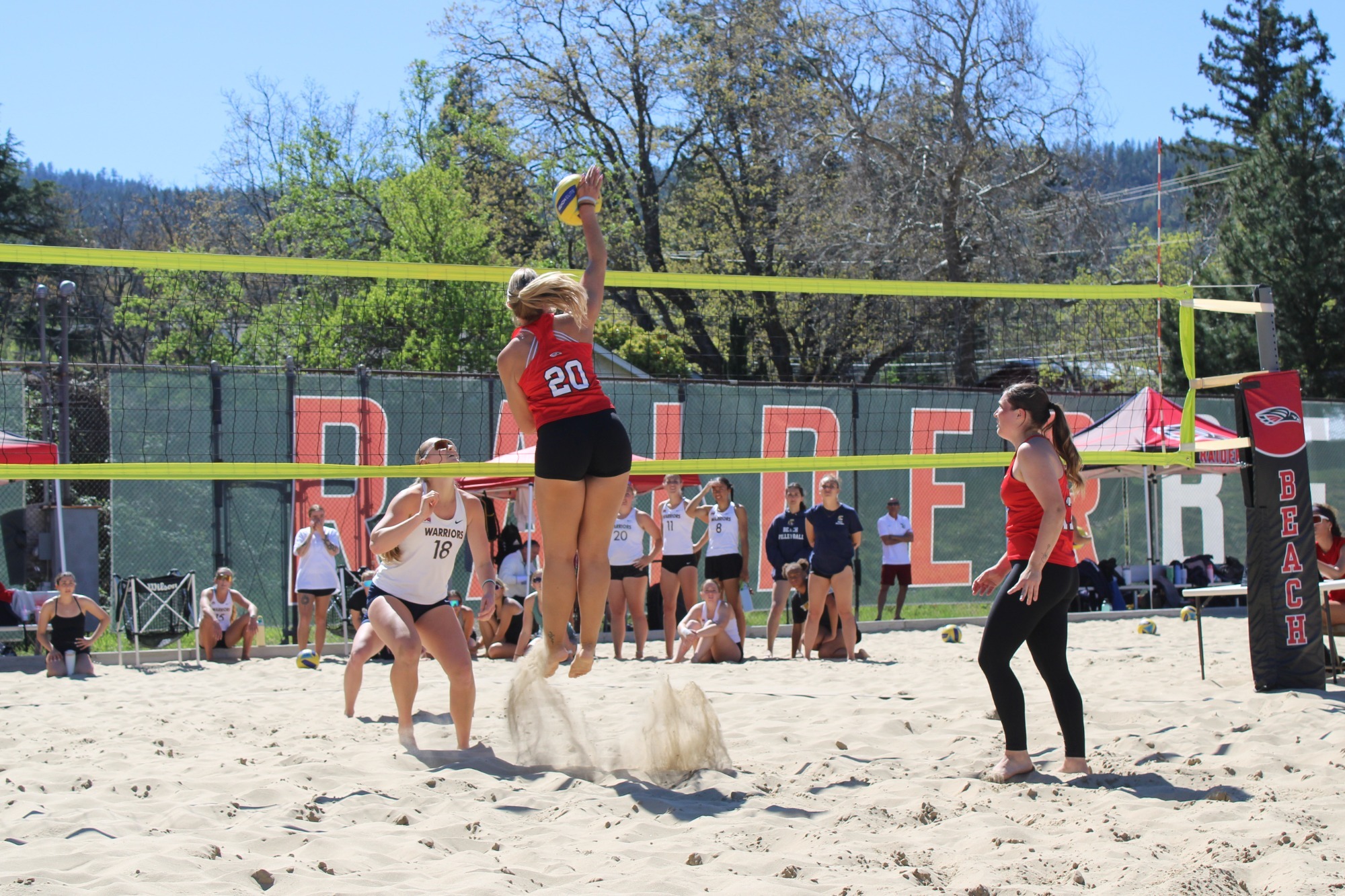 zimmerman, gulbrandsen