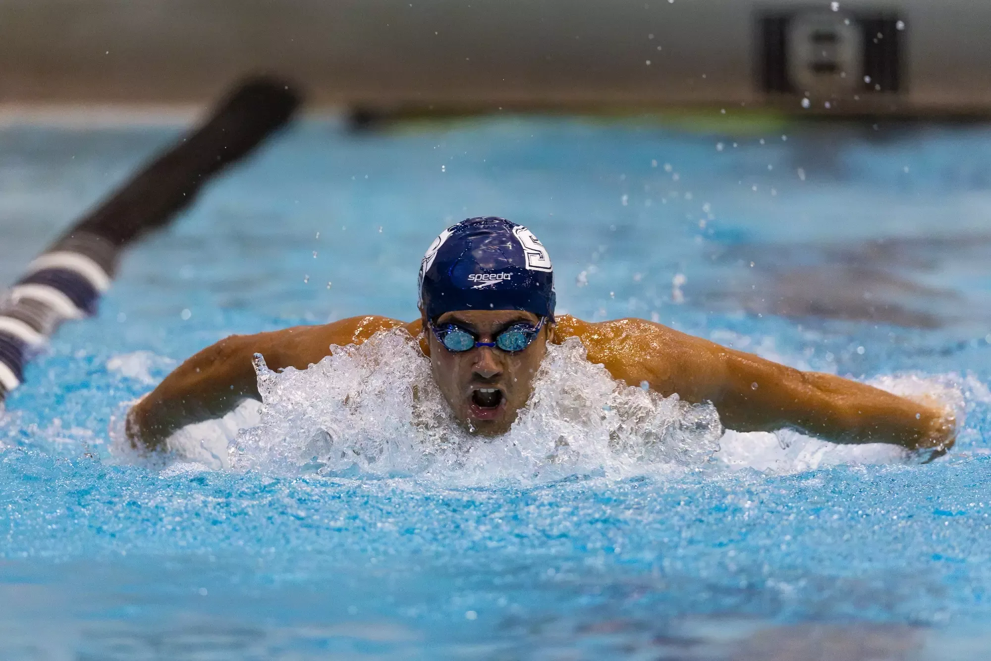 SCSU Swimming & Diving vs. Bentley