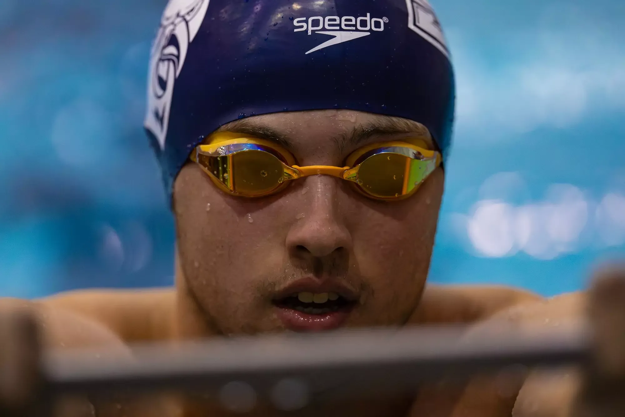 SCSU Swimming & Diving vs. Bentley
